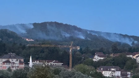 Požar u Novom Gradu: Gori šuma iznad naselja Prekosanje