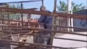 Jeziv slučaj u Srbiji: Uhapšen radnik pečenjare zbog ubistva pasa, uzeti uzorci iz mesa
