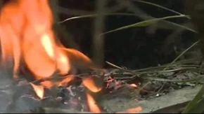 Još jedan pakleni dan: Stotine vatrogasaca se bore sa vatrom u BiH