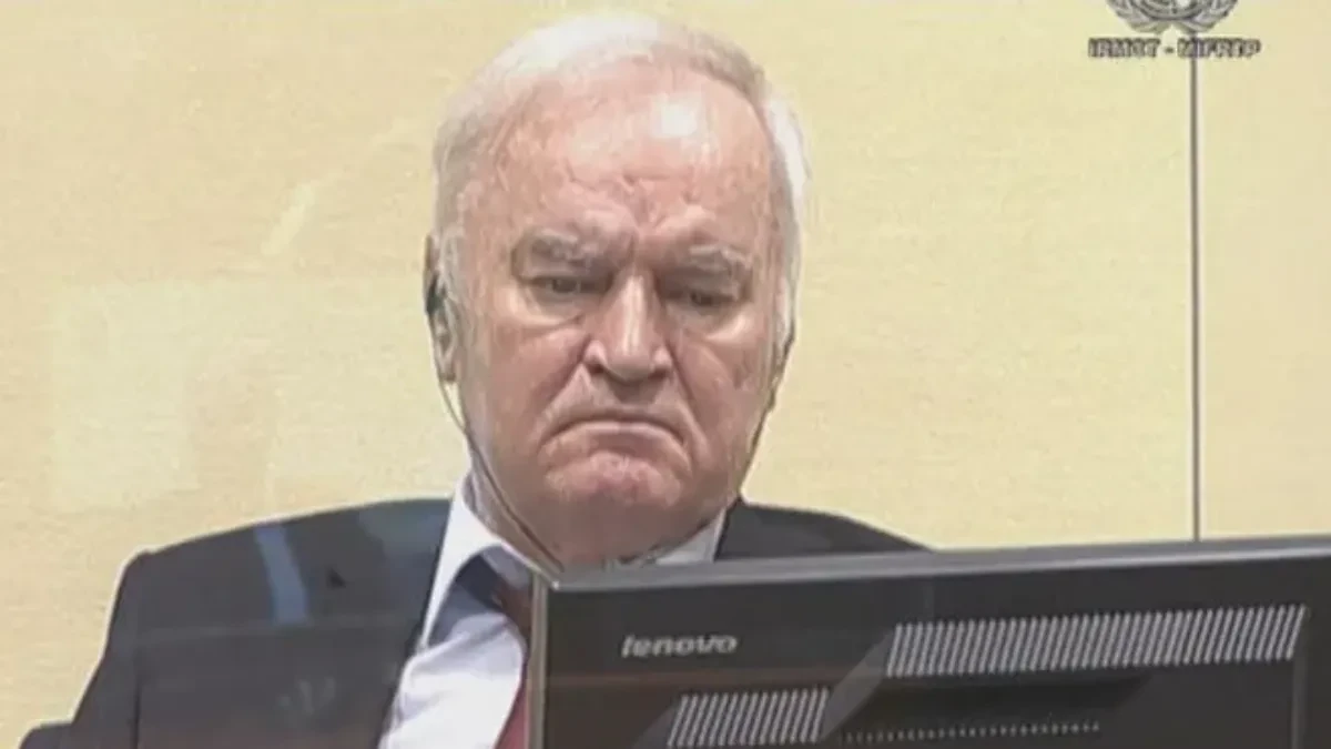 Vujić apelovao za novo razmatranje zahtjeva za puštanje Ratka Mladića