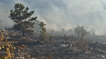 Teška noć na Trebeviću: Vatrogasci ukrotili većinu požarišta, borba se nastavlja