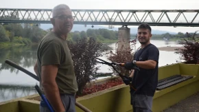Adis i Predrag  uredili drvored i cvijeće na keju: Lipe kao iščešljane  djevojke 