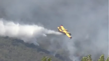 U Srbiji aktivno 29 požara, u gašenju učestvuju domaće i strane snage