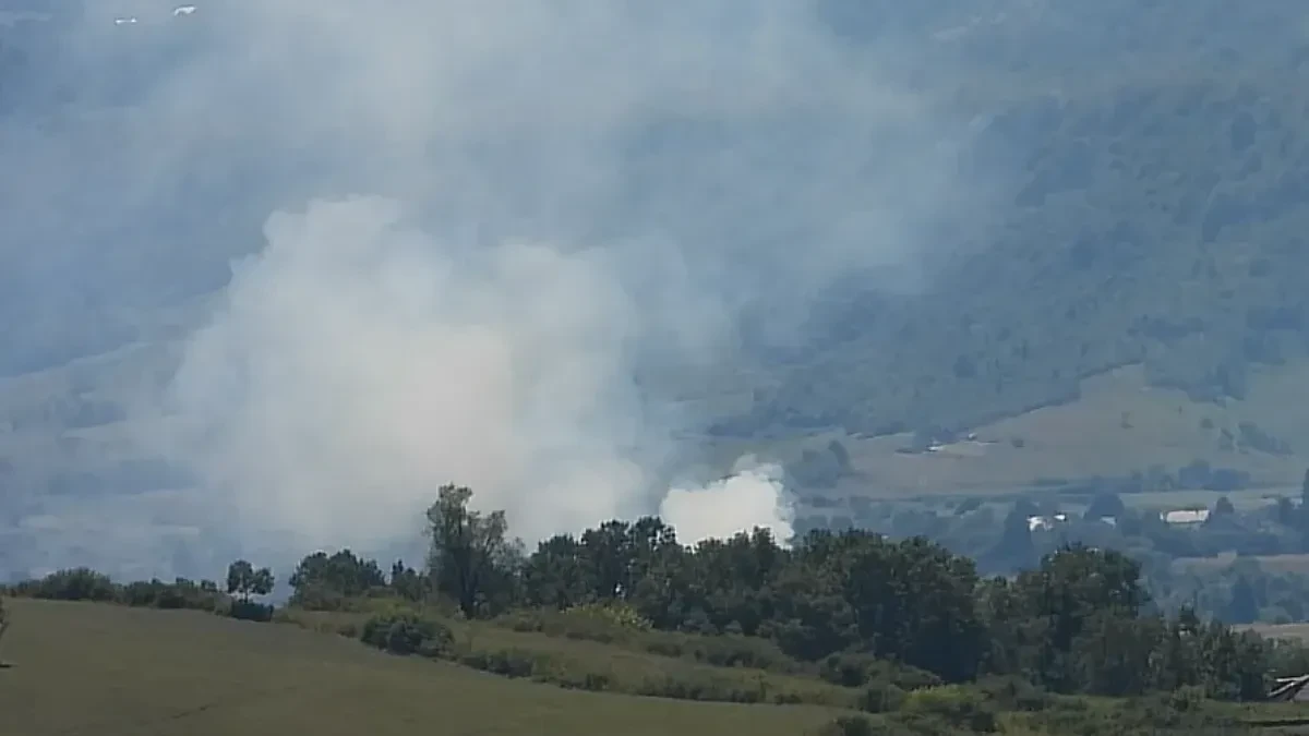 Drama kod Trebinja: Vatra se opasno približava kućama, helikopter MUP-a RS i vatrogasci na terenu