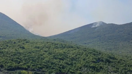 Helikopter gasi vatru kod Trebinja, požar kod Orašja stavljen pod kontrolu