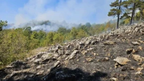 Aktivni požari na području Nevesinja, imovina za sada sigurna