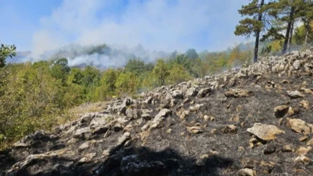 Aktivni požari na području Nevesinja, imovina za sada sigurna