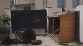Snažan tornado pogodio jug Francuske, više od 40 povrijeđenih