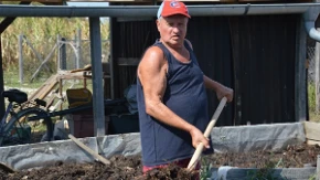 Kalifornijske gliste rade, a Gojko Dardić ubire kajmak: Za Gojkov humus znaju i Hercegovci