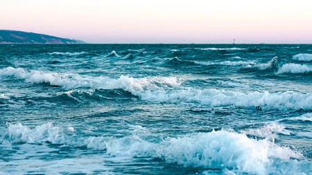 Fekalno zagađenje na plaži u Hrvatskoj: Izdato upozorenje turistima