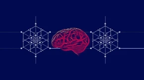 Inteligencija i mudrost: Šta prema Pitersonu zaista izdvaja najpametnije ljude