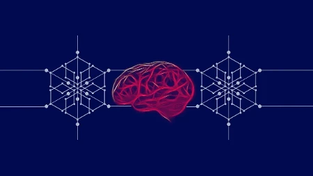 Inteligencija i mudrost: Šta prema Pitersonu zaista izdvaja najpametnije ljude