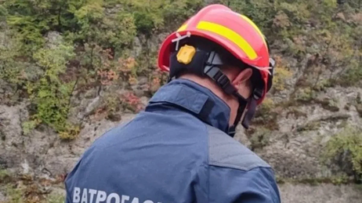 Dobojski vatrogasci gasili dva požara