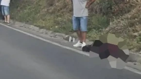 Otkriveno šta se tačno desilo sa medvjedom stradalim na putu u BiH