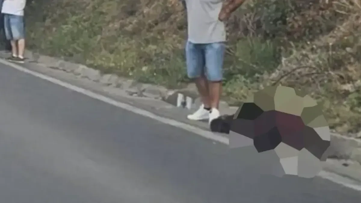 Otkriveno šta se tačno desilo sa medvjedom stradalim na putu u BiH
