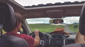 Greška koju svi pravimo: Otkrivamo da li štitnik za sunce na auto treba da ide spolja ili iznutra