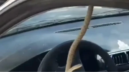 Jeziv prizor u Sjenici: Vozač zatekao zmiju na vratima automobila (VIDEO)