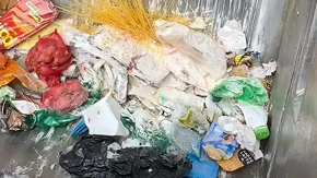 Prizor ih je zgrozio: Pogledajte šta su komunalci pronašli u kontejneru (VIDEO)