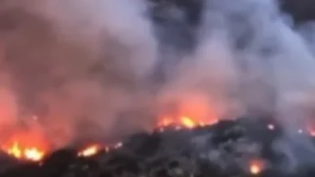 Šumski požari uništili više od 600 objekata, evakuisano 60.000 ljudi
