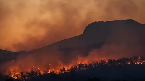 Požar se približio putu Trebinje - Dubrovnik