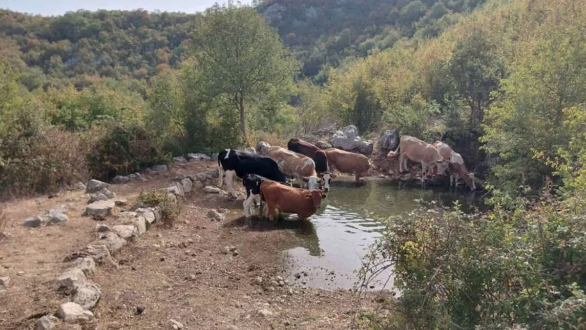 Manastir Ostrog i Nikšić poslali vodu domaćinstvima kod Trebinja
