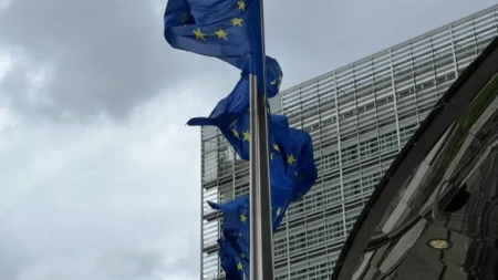 Bledski strateški forum - glavne teme proširenje EU
