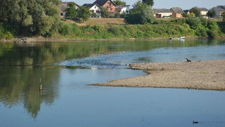 Rekordno nizak nivo Save kod Gradiške: Iz korita izronili ostaci drevnih sojenica (FOTO)