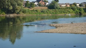 Rekordno nizak nivo Save kod Gradiške: Iz korita izronili ostaci drevnih sojenica (FOTO)