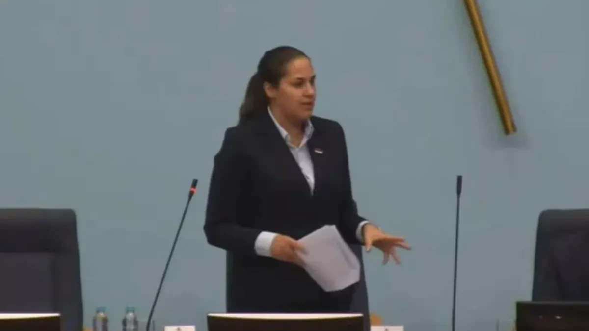 Osiguranje odbilo isplatiti štetu na vozilu NSRS, troškove će snositi Anja Ljubojević