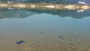 Invazivna vrsta ugrožava Ramsko jezero, ribolovci pozvani u akciju