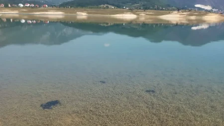 Invazivna vrsta ugrožava Ramsko jezero, ribolovci pozvani u akciju