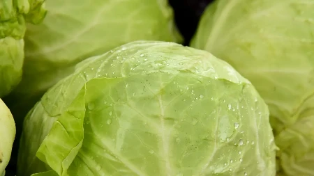 Potvrđena dva smrtna slučaja od nove epidemije