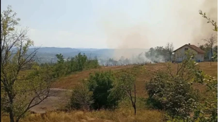 Gorjela šuma, imanje i plantaža kod Banjaluke: 14 vatrogasaca na terenu, jedna osoba privedena (FOTO)