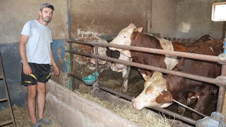 Teško je biti stočar na plus 35: Najvažnije je osim hrane da stoka ima dovoljno pitke vode i dobru ventilaciju 