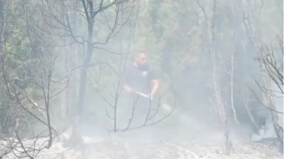 Djelimično smirivanje požara u Deliblatskoj peščari