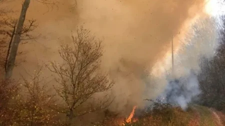 Sjeverna Makedonija: Za 24 sata izbilo čak 25 požara, vatrogasci još uvijek gase tri