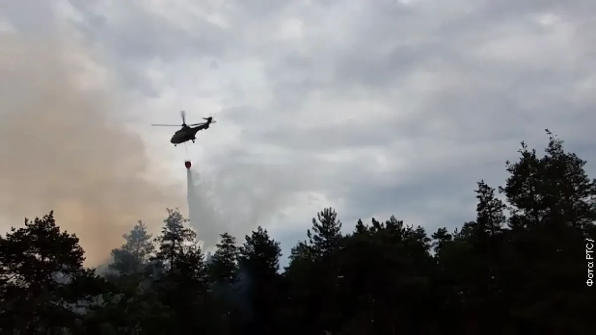 Požar u Deliblatskoj peščari i dalje traje, Šumarak odbranjen (VIDEO)