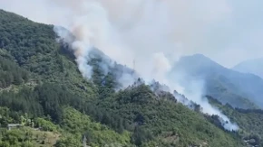 Požar kod Konjica lokalizovan, vatrogasci i dalje na terenu