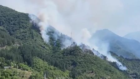 Požar kod Konjica lokalizovan, vatrogasci i dalje na terenu