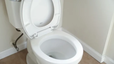 Žute mrlje na WC dasci teško se uklanjaju: Profesionalci preporučili dva sastojka za čišćenje 
