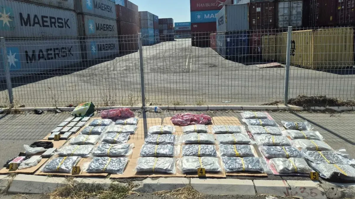 U Bosni i Hercegovini od početka godine uništeno više od 170 kilograma zaplijenjene droge