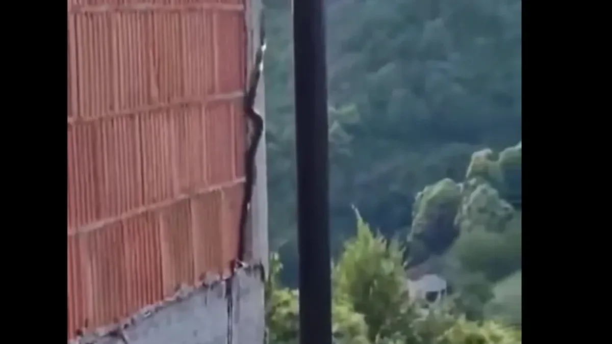 Zmije najviše vole ovo mjesto u kući: Evo na šta tačno treba da obratite pažnju