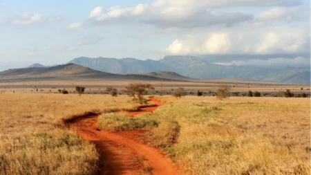 Afrika se razdvaja brže nego što se mislilo: Na istoku kontinenta nastaje novi okean