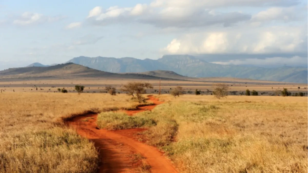 Afrika se razdvaja brže nego što se mislilo: Na istoku kontinenta nastaje novi okean