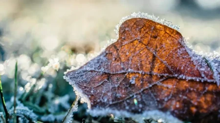 Nagli kraj poznom ljetu: Meteorolog najavio zahlađenje, ledene noći i prve pahulje