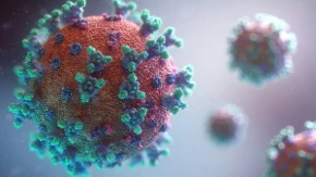 Opasan virus odnio prvi život na Floridi: Broj zaraženih naglo raste