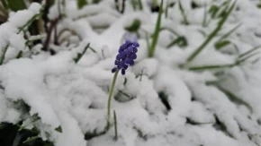 Da li nas poslije vrelog ljeta čeka ekstremno hladna zima?
