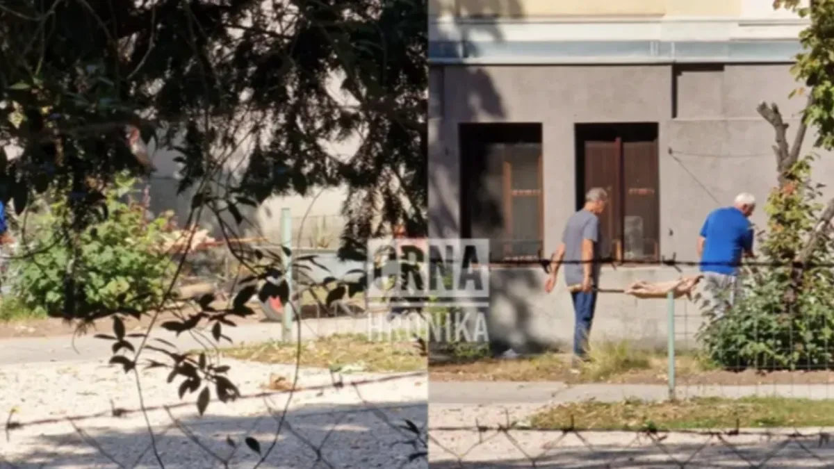 Skandal u Zemaljskom muzeju u Sarajevu: U Botaničkoj bašti okretali prase na ražnju, oglasila se uprava! (VIDEO)