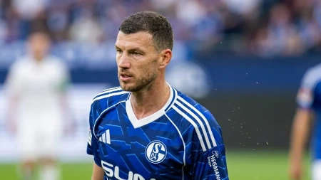 Džeko spreman za oproštaj od Zmajeva: Protiv Švedske želi cijelu utakmicu
