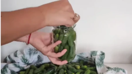 Zimnica bez muke: Od četiri kilograma kornišona čak 11 tegli (VIDEO)